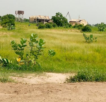 Railway Station Nguru