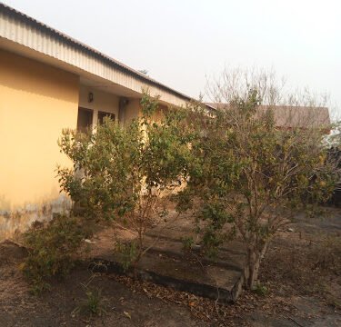 AF1QipOCYpriRlDn9PfXV7onlutDssceOumroShzfaA-w800-h500-k-no.jpeg