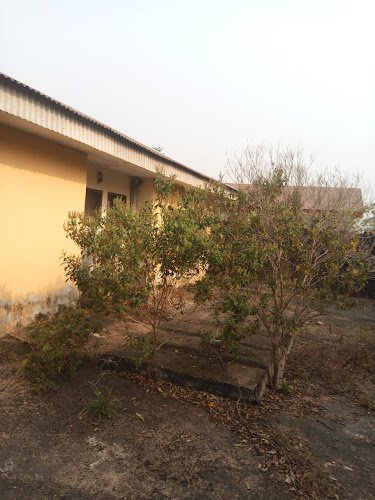 AF1QipOCYpriRlDn9PfXV7onlutDssceOumroShzfaA-w800-h500-k-no.jpeg