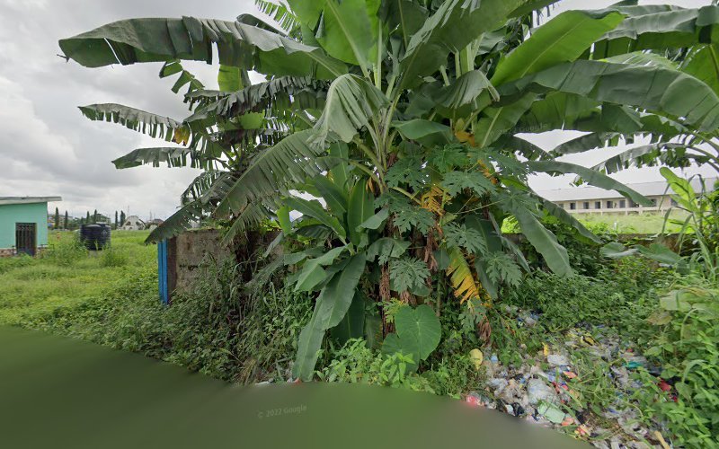 thumbnailpanoid_pXPPaHZzbwaDm9CvqVylQcb_clientsearch.gws-prod.gpsw800h500yaw270.55853pitch0thumbfov100.jpeg