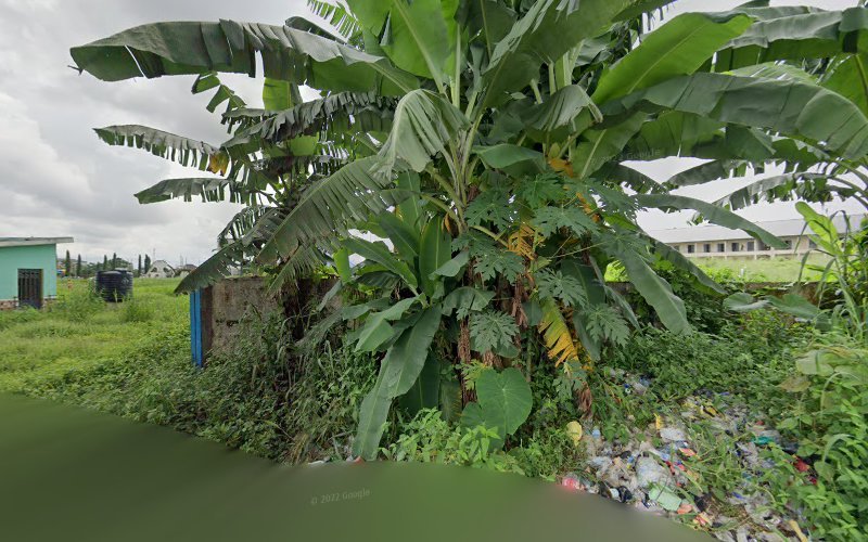 thumbnailpanoid_pXPPaHZzbwaDm9CvqVylQcb_clientsearch.gws-prod.gpsw800h500yaw270.62897pitch0thumbfov100-5.jpeg
