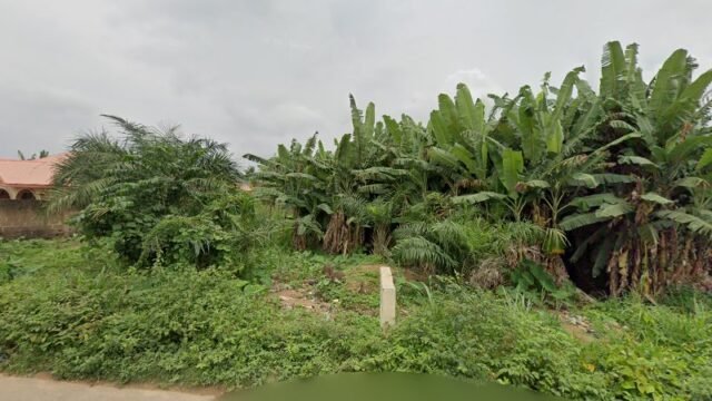 thumbnailpanoidcdcCLCAEIYYczLyOBeUQOgcb_clientsearch.gws-prod.gpsw800h500yaw80.02969pitch0thumbfov100.jpeg