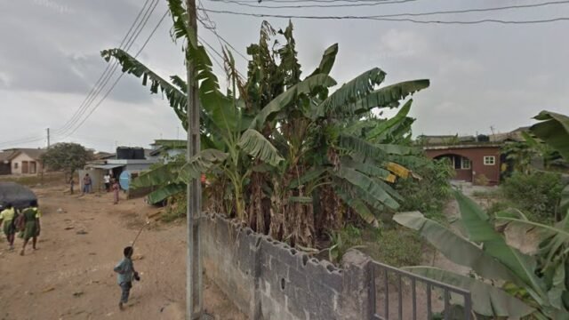 thumbnailpanoidg3lUbvwGFm2kQsfpgvdZIwcb_clientsearch.gws-prod.gpsw800h500yaw324.18576pitch0thumbfov100.jpeg