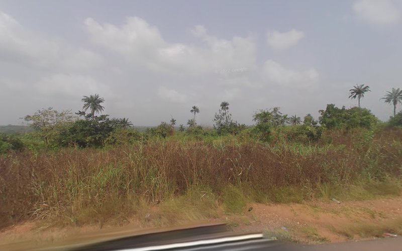 thumbnailpanoidywtAZfW_kMd6fHoxhFRdUgcb_clientsearch.gws-prod.gpsw800h500yaw323.75336pitch0thumbfov100.jpeg